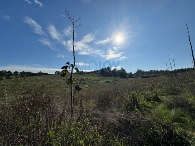 Terreno Agricola ou Rústico para Venda em Abrigada e Cabanas de Torres Foto 20