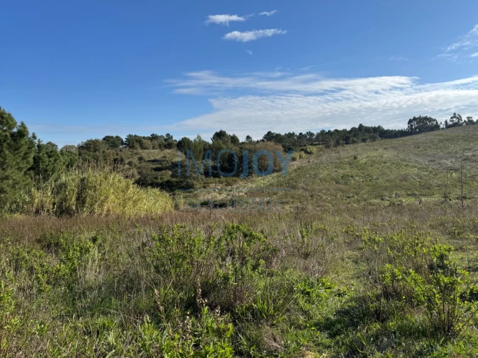 Terreno Agricola ou Rústico para Venda em Abrigada e Cabanas de Torres Foto 24