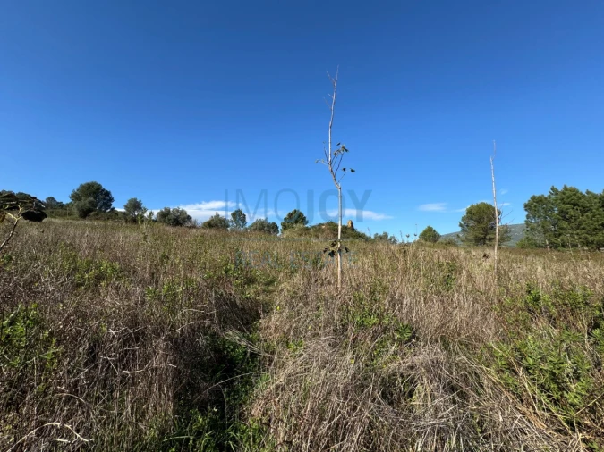Terreno Agricola ou Rústico para Venda em Abrigada e Cabanas de Torres Foto 28