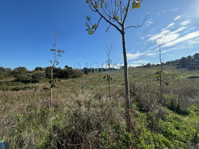 Terreno Agricola ou Rústico para Venda em Abrigada e Cabanas de Torres Foto 30