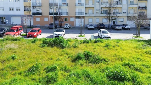 Terreno para Venda em Castelo Branco