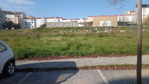 Terreno para Venda em Castelo Branco
