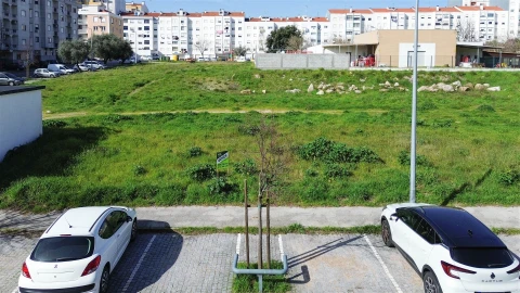 Terreno para Venda em Castelo Branco