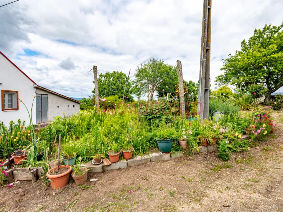 Quinta T3 para Venda em Melo e Nabais Foto 33