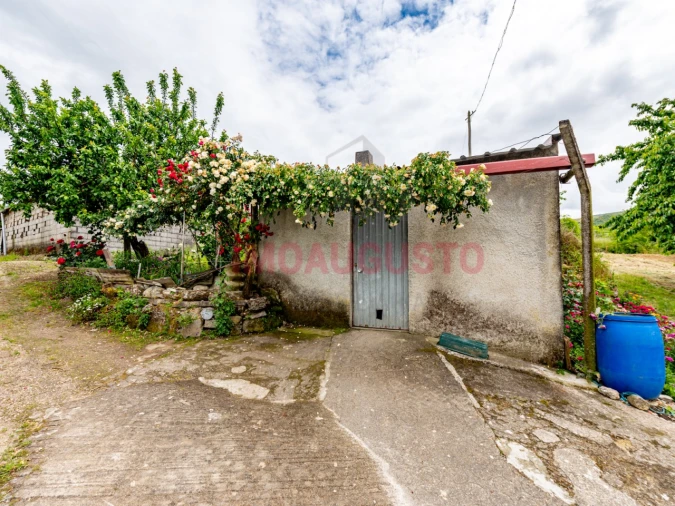 Quinta T3 para Venda em Melo e Nabais Foto 9