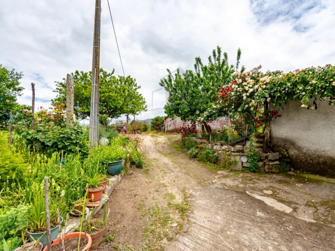 Quinta T3 para Venda em Melo e Nabais Foto 35