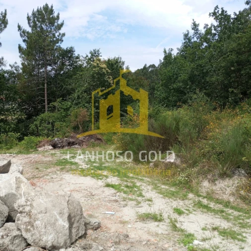 Terreno Agricola ou Rústico para Venda em Esperança e Brunhais Foto 2