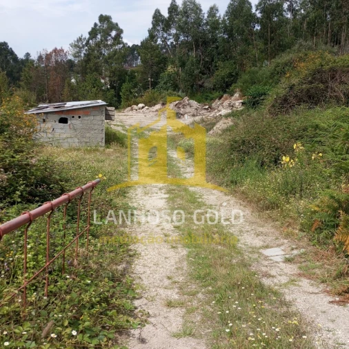 Terreno Agricola ou Rústico para Venda em Esperança e Brunhais Foto 4