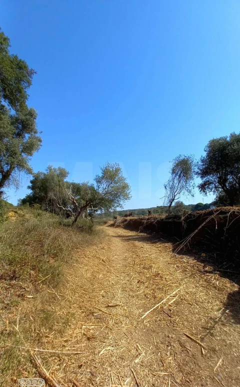 Terreno para Venda em Melides