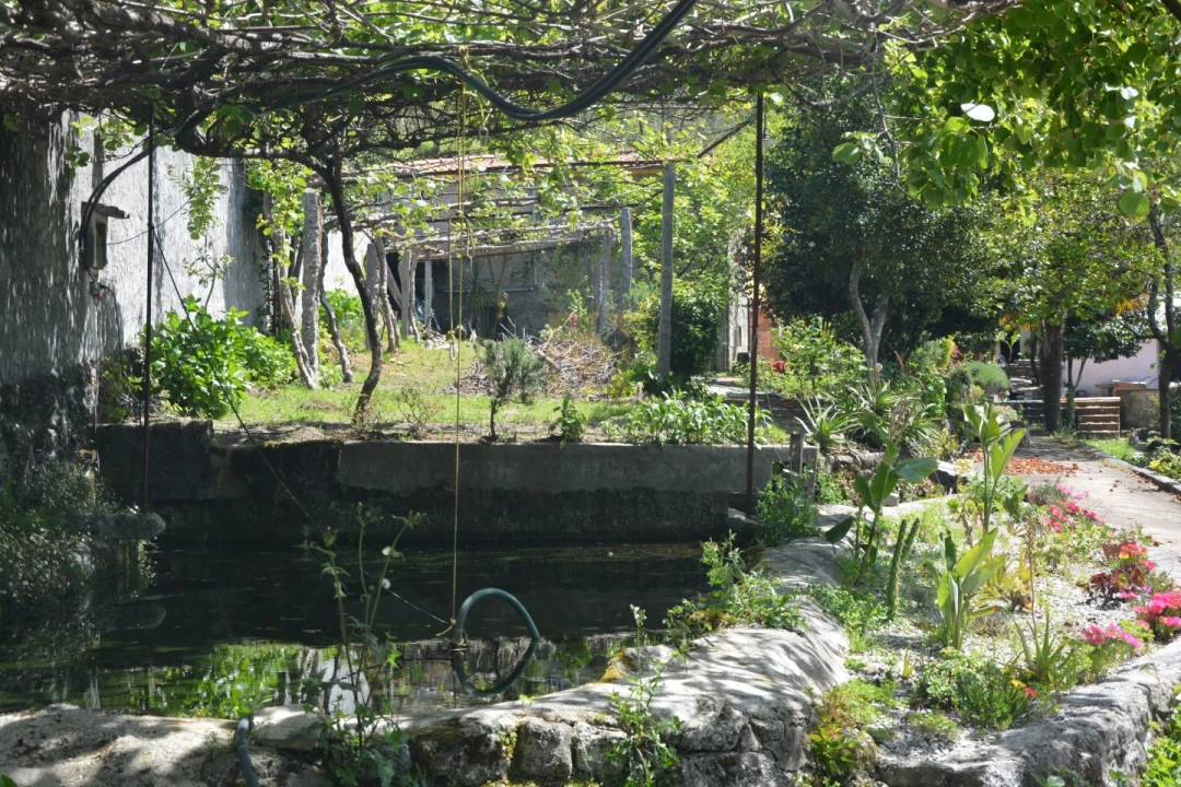 Quinta T3 para Venda em Ribeira do Neiva Foto 21