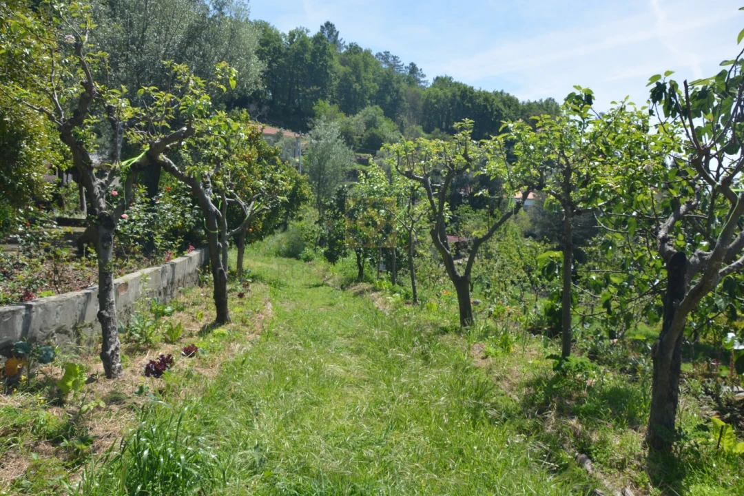 Quinta T3 para Venda em Ribeira do Neiva Foto 31