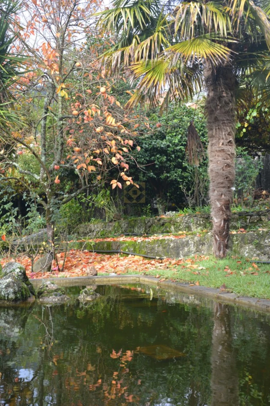 Quinta T3 para Venda em Ribeira do Neiva Foto 24