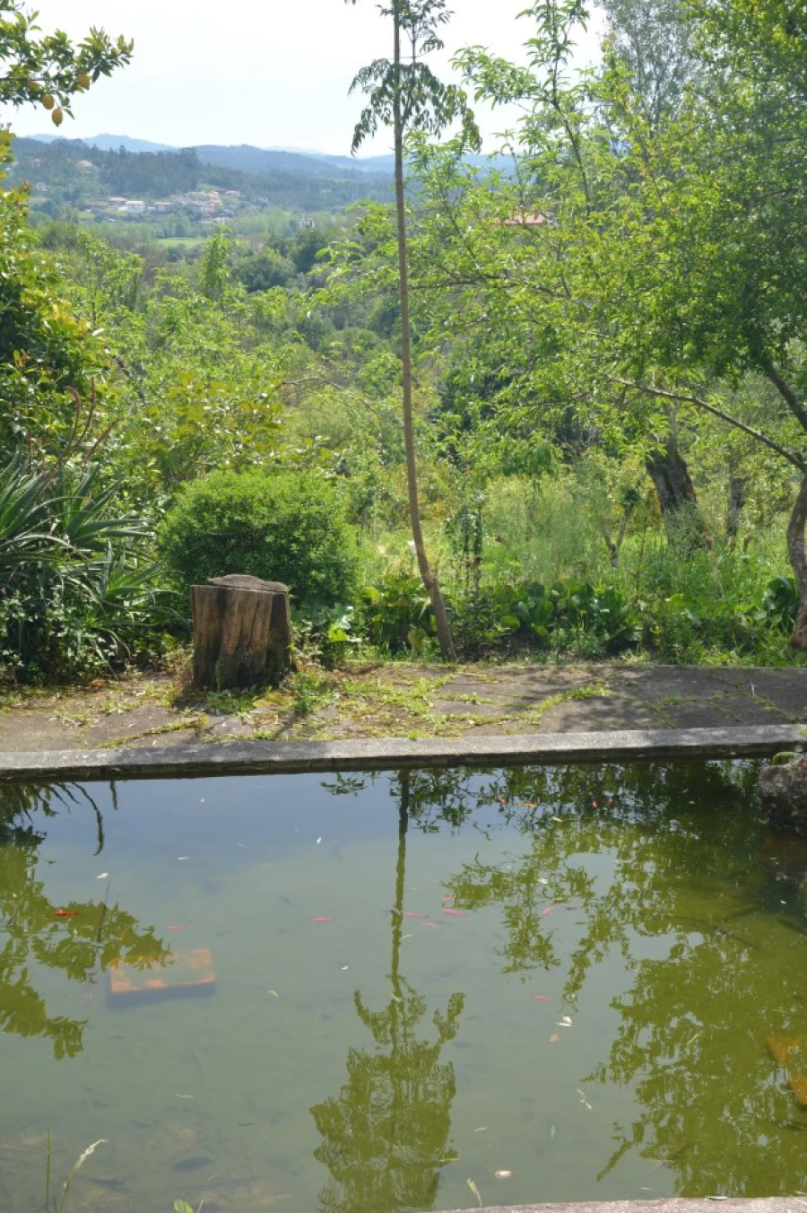 Quinta T3 para Venda em Ribeira do Neiva Foto 26