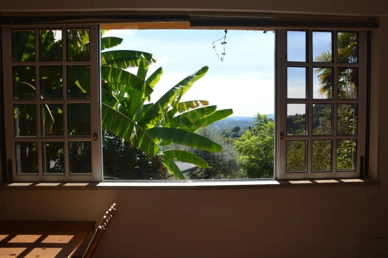 Quinta T3 para Venda em Ribeira do Neiva Foto 42