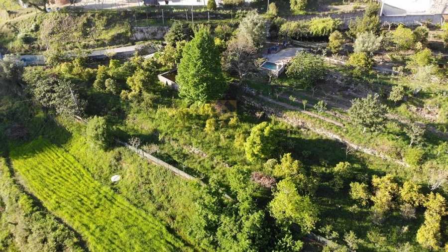 Quinta T3 para Venda em Ribeira do Neiva Foto 66