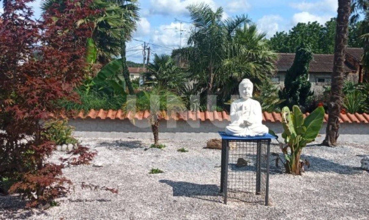 Moradia T3 para Venda em Macinhata do Vouga Foto 22