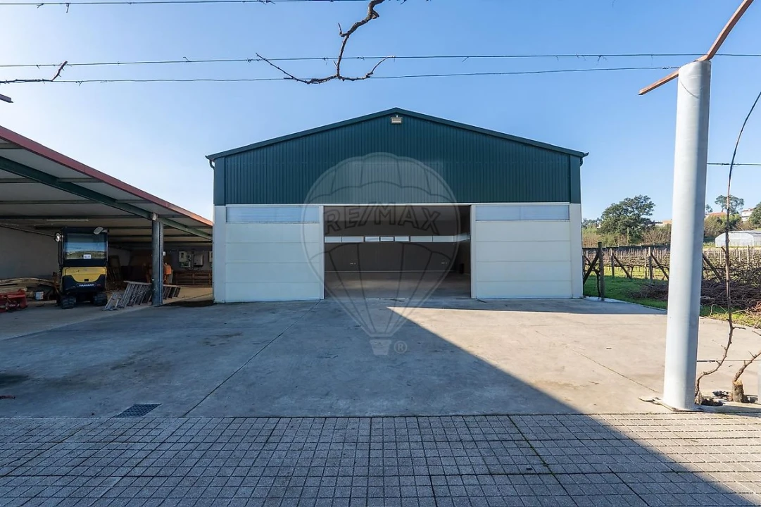 Quinta T3 para Venda em Paredes Foto 46