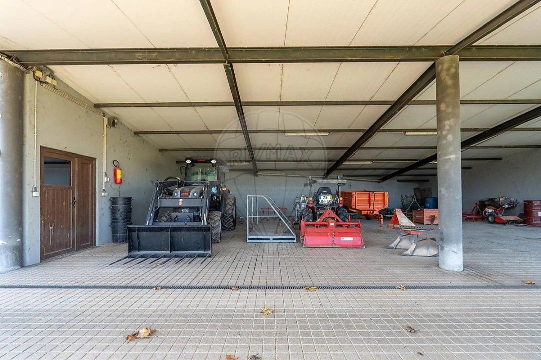 Quinta T3 para Venda em Paredes Foto 50