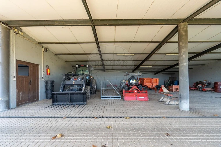 Quinta T3 para Venda em Paredes Foto 50