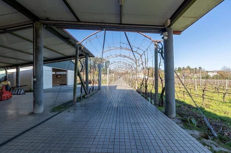 Quinta T3 para Venda em Paredes Foto 40