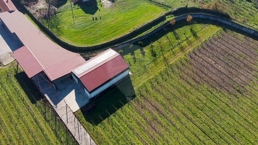 Quinta T3 para Venda em Paredes Foto 7