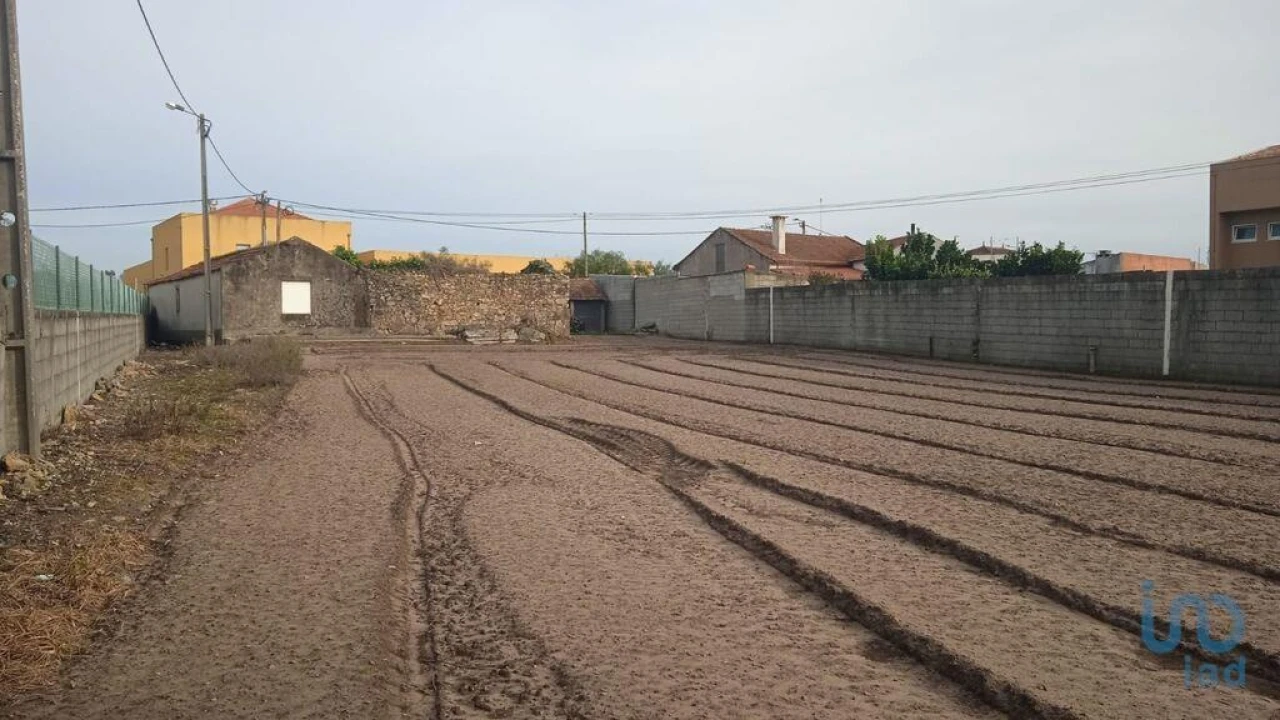 Terreno para Venda em Estela Foto 5