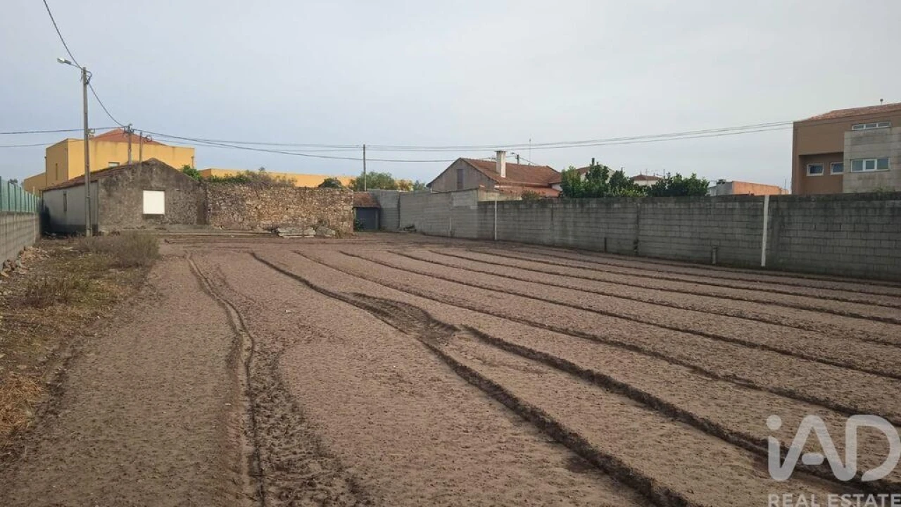 Terreno para Venda em Estela Foto 16