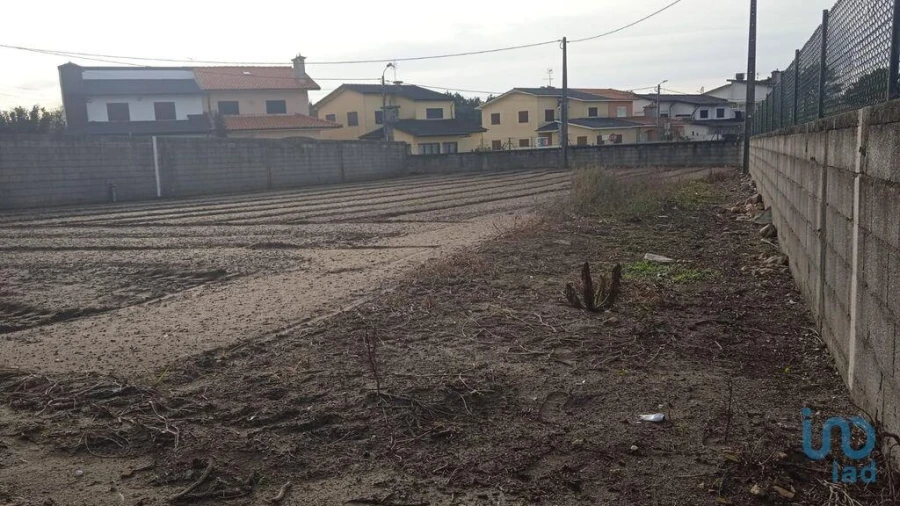 Terreno para Venda em Estela Foto 3