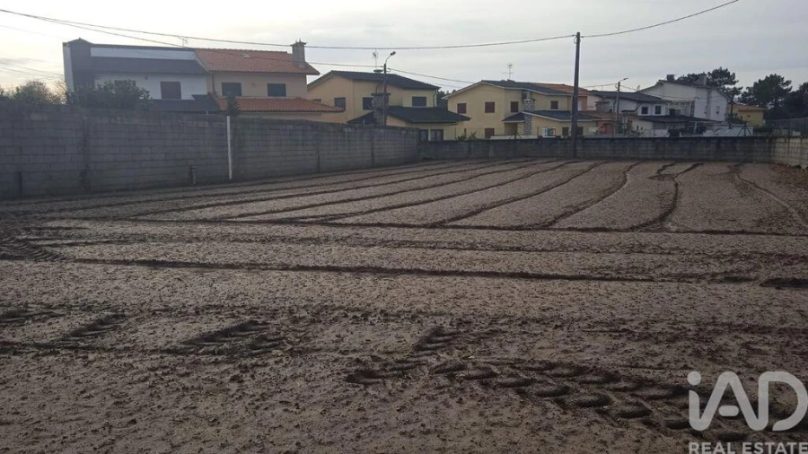 Terreno para Venda em Estela Foto 26