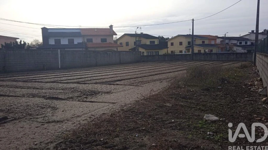 Terreno para Venda em Estela Foto 19