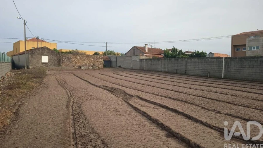 Terreno para Venda em Estela Foto 21