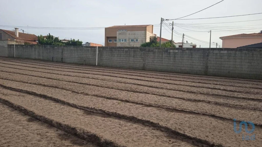 Terreno para Venda em Estela Foto 6
