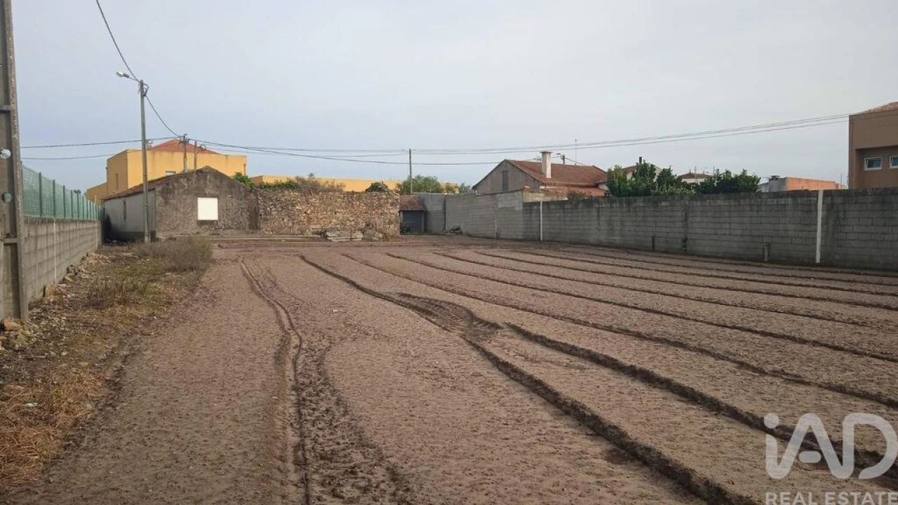 Terreno para Venda em Estela Foto 29