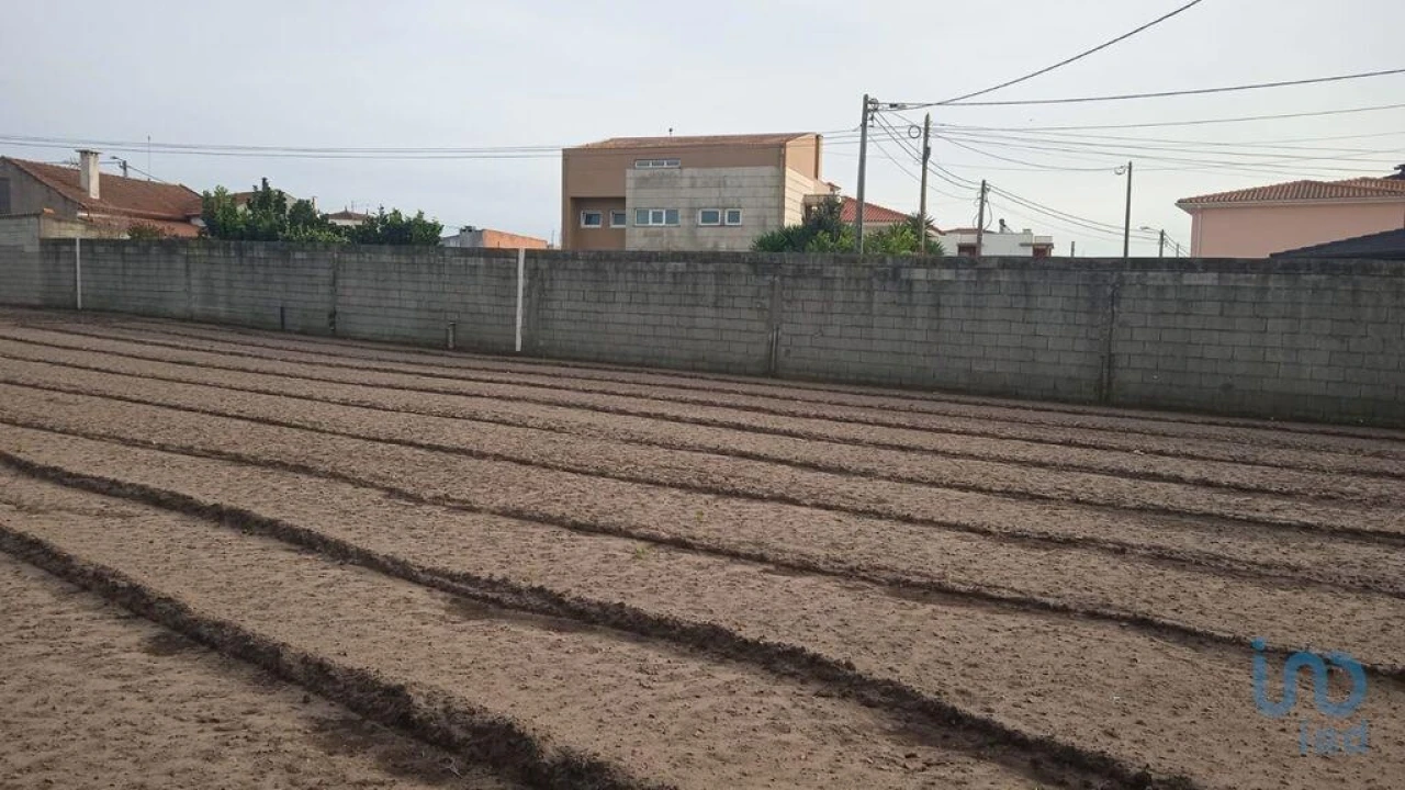 Terreno para Venda em Estela Foto 6