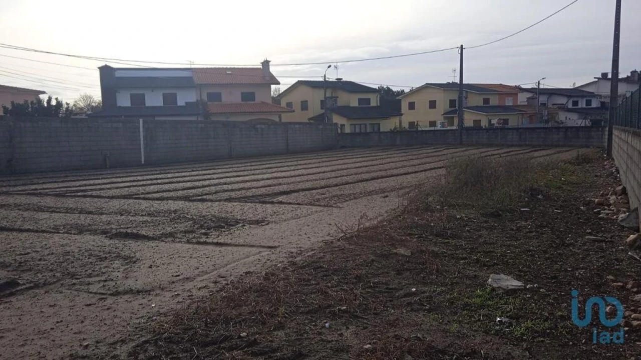 Terreno para Venda em Estela Foto 7