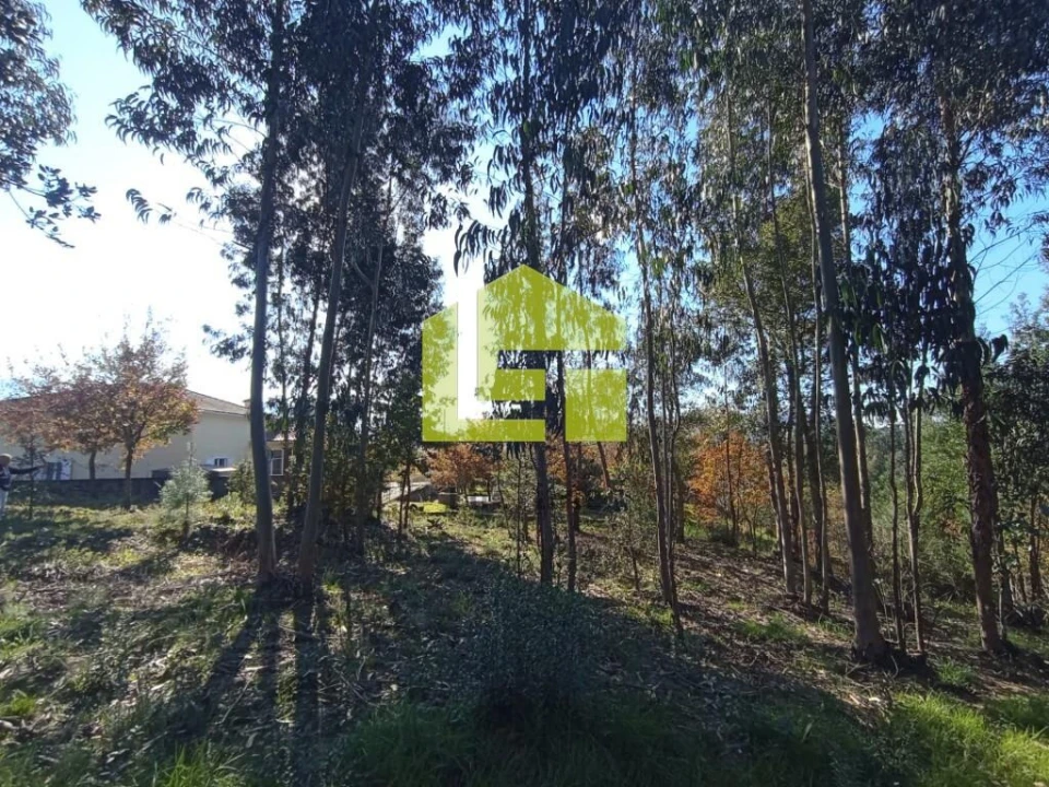 Terreno para Venda em Miranda do Corvo Foto 11