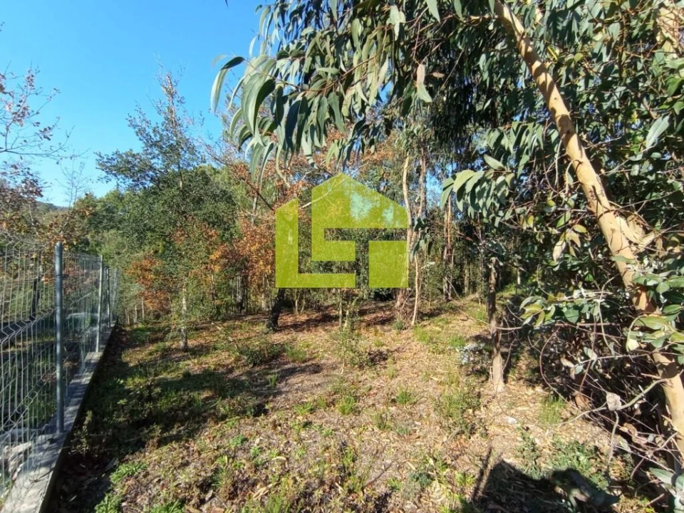 Terreno para Venda em Miranda do Corvo Foto 7