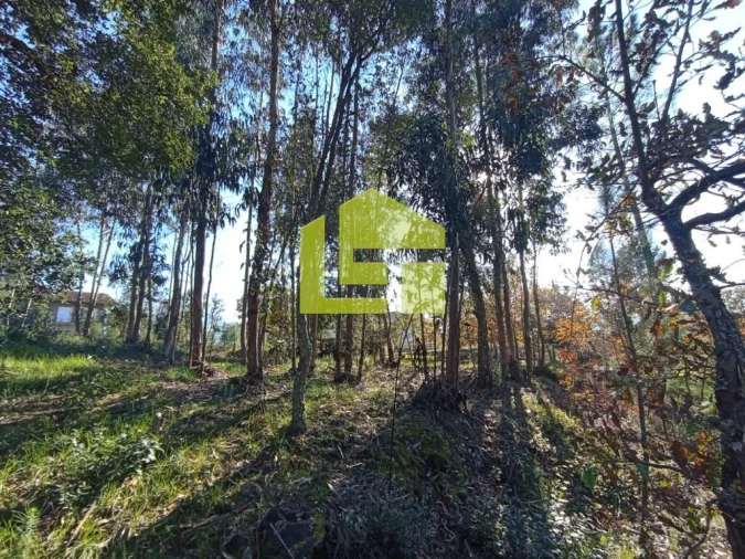 Terreno para Venda em Miranda do Corvo Foto 12