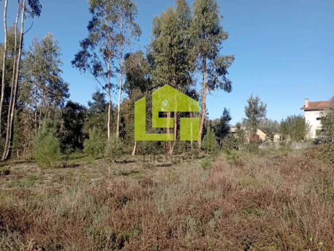 Terreno para Venda em Miranda do Corvo Foto 18
