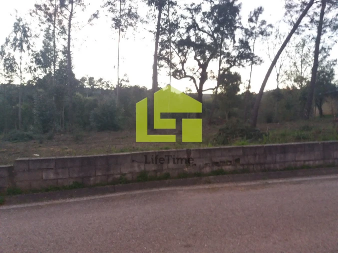 Terreno para Venda em Miranda do Corvo Foto 4