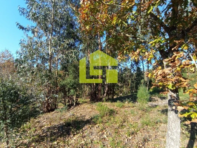 Terreno para Venda em Miranda do Corvo Foto 5