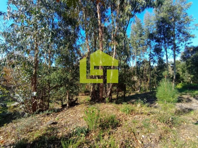 Terreno para Venda em Miranda do Corvo Foto 8