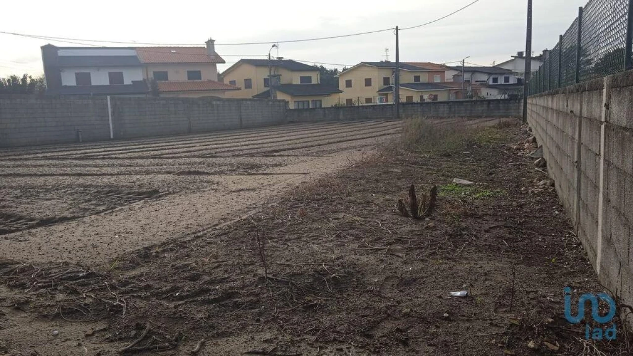 Terreno para Venda em Estela Foto 4