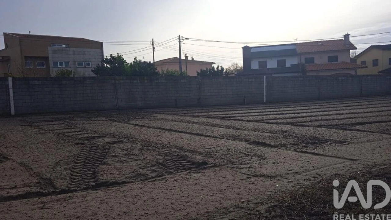 Terreno para Venda em Estela Foto 23