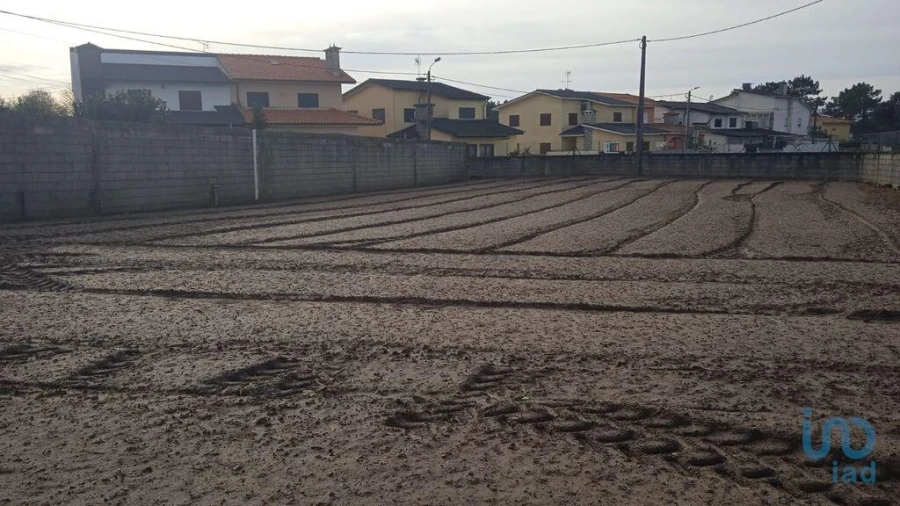 Terreno para Venda em Estela