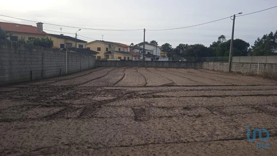 Terreno para Venda em Estela Foto 14