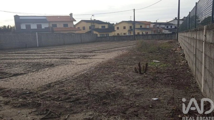 Terreno para Venda em Estela Foto 28