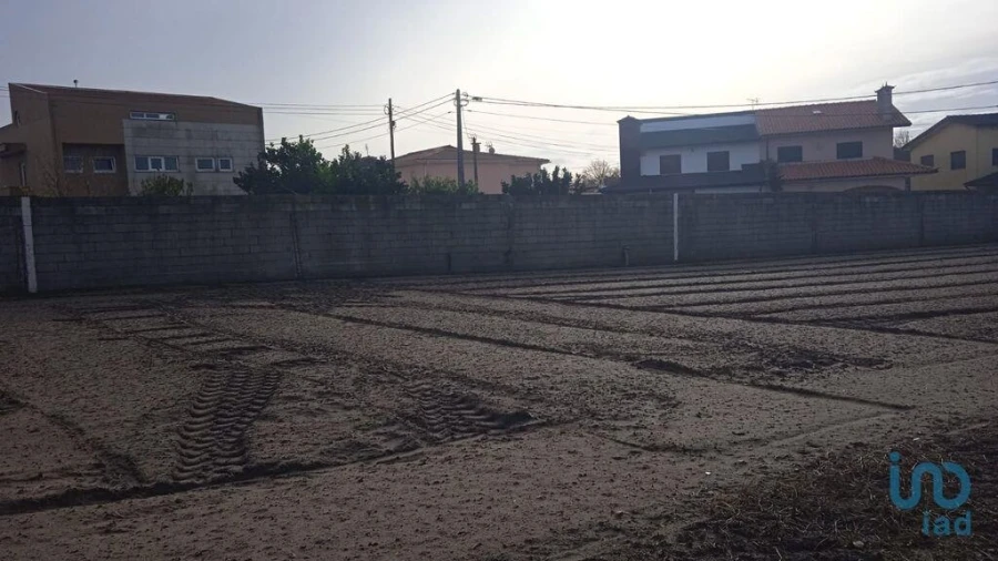 Terreno para Venda em Estela Foto 7