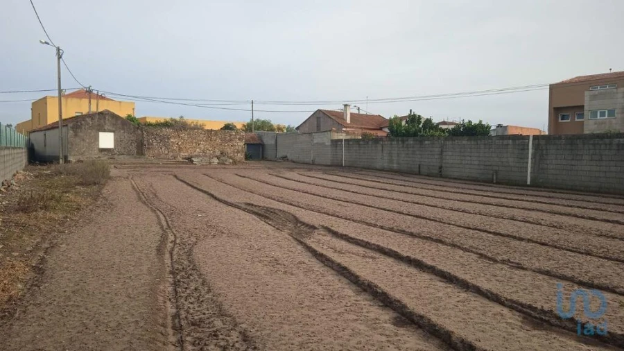 Terreno para Venda em Estela Foto 13