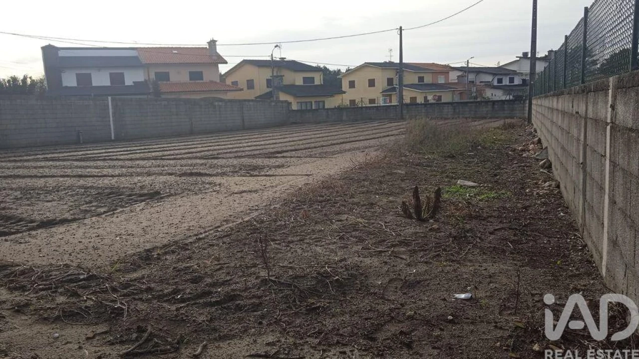 Terreno para Venda em Estela Foto 18